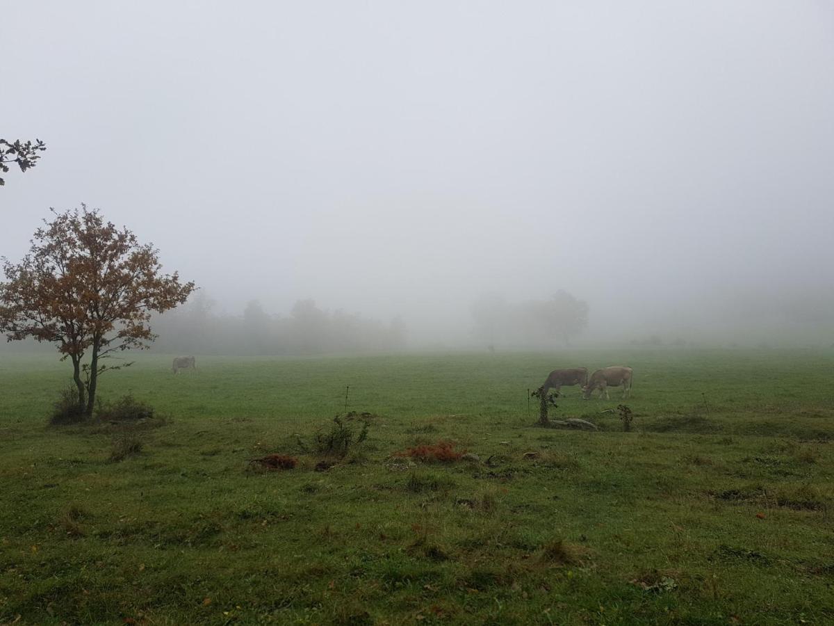 Santuari De La Salut De Sant Felíu de Pallarols Dış mekan fotoğraf