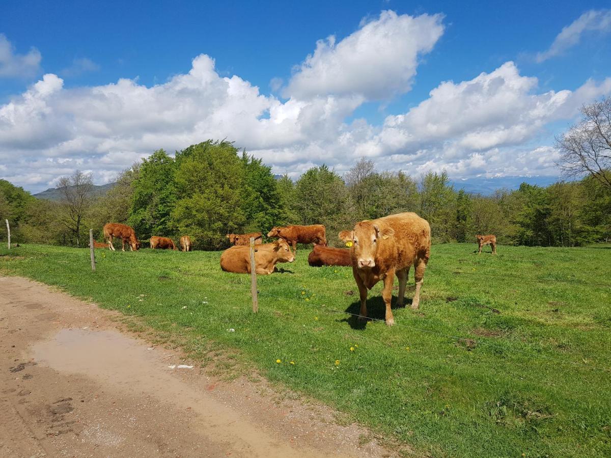 Santuari De La Salut De Sant Felíu de Pallarols Dış mekan fotoğraf