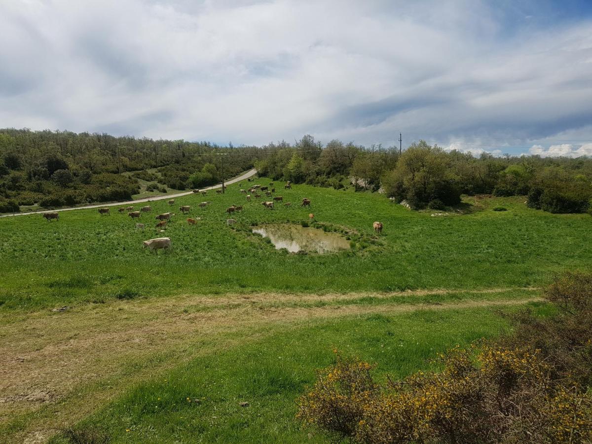 Santuari De La Salut De Sant Felíu de Pallarols Dış mekan fotoğraf