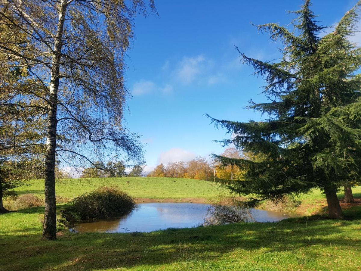 Santuari De La Salut De Sant Felíu de Pallarols Dış mekan fotoğraf