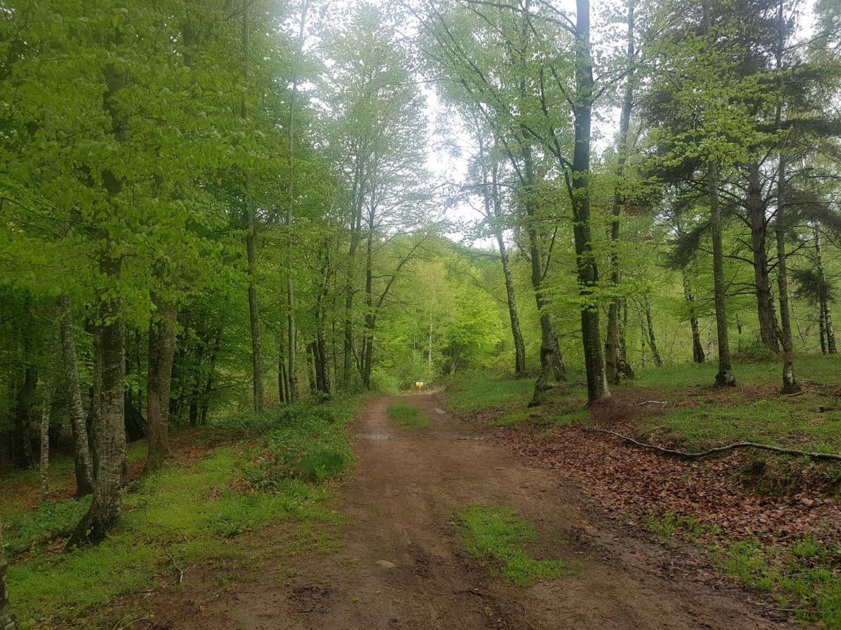 Santuari De La Salut De Sant Felíu de Pallarols Dış mekan fotoğraf