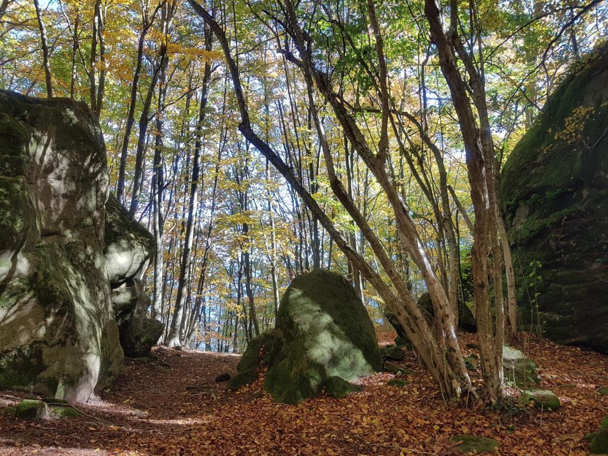 Santuari De La Salut De Sant Felíu de Pallarols Dış mekan fotoğraf