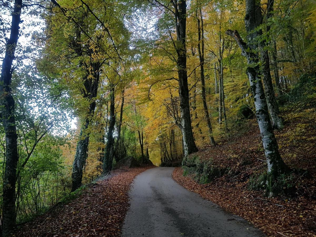 Santuari De La Salut De Sant Felíu de Pallarols Dış mekan fotoğraf