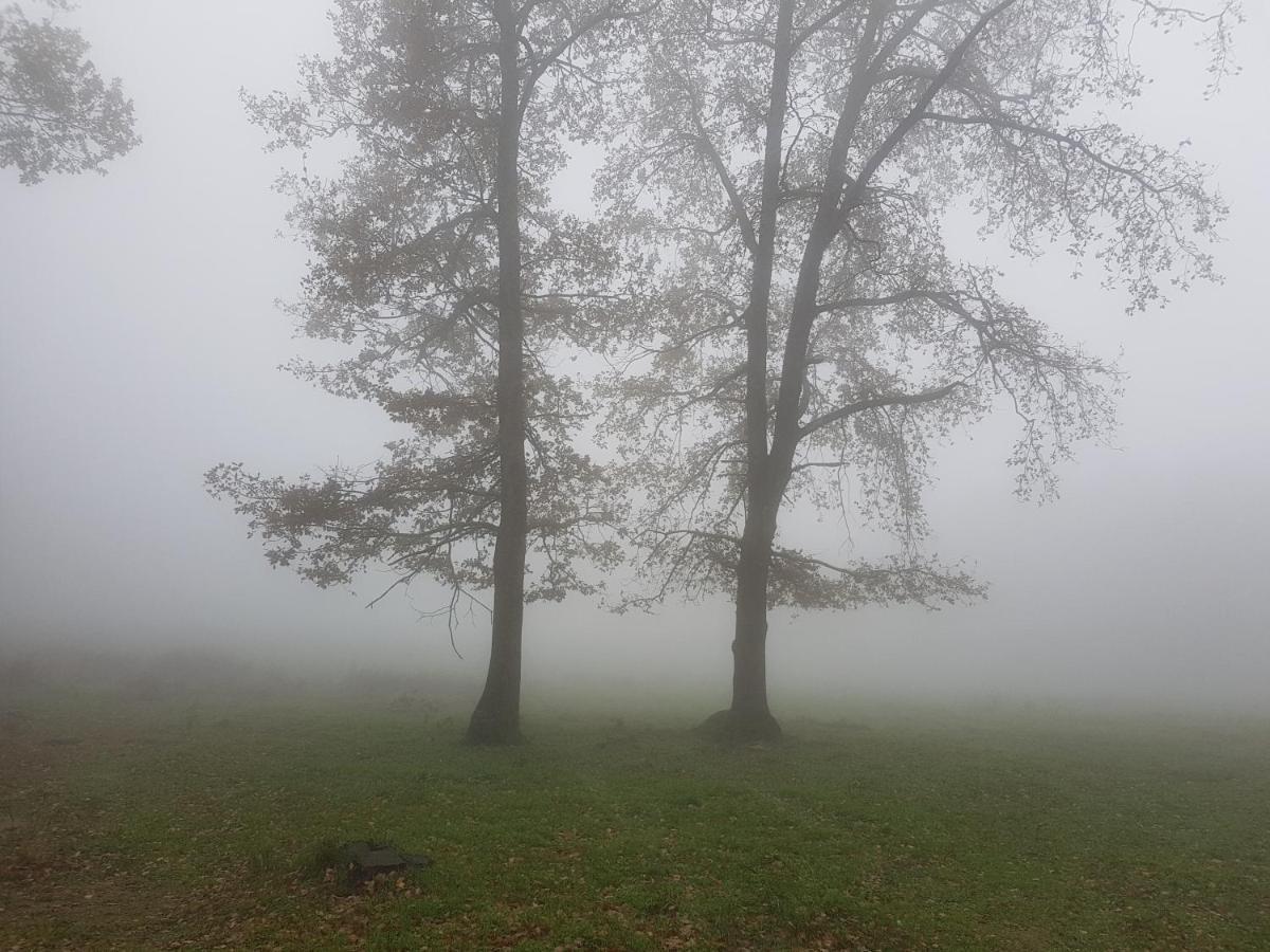 Santuari De La Salut De Sant Felíu de Pallarols Dış mekan fotoğraf