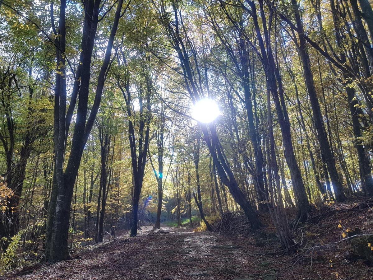 Santuari De La Salut De Sant Felíu de Pallarols Dış mekan fotoğraf
